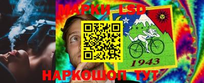 гидра Рыбинск