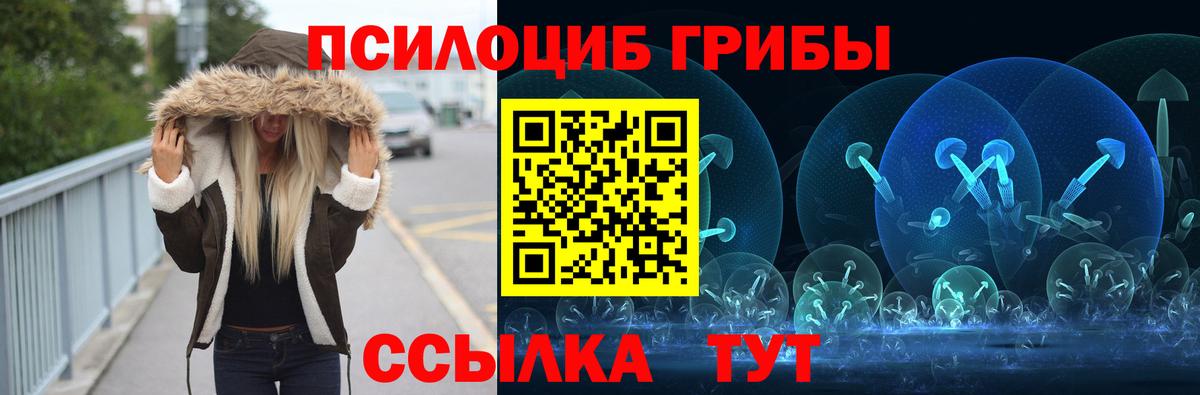 Галлюциногенные грибы Cubensis  Вход с VPN  Ростов Великий 